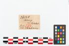 Etikett zu Bernsteinringperle (NHMW-PRAE-026348)
